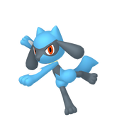 Riolu in Legends of Arceus